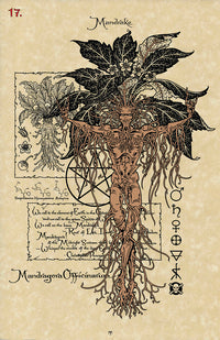 The Magickal Botanical