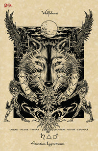 The Magickal Botanical