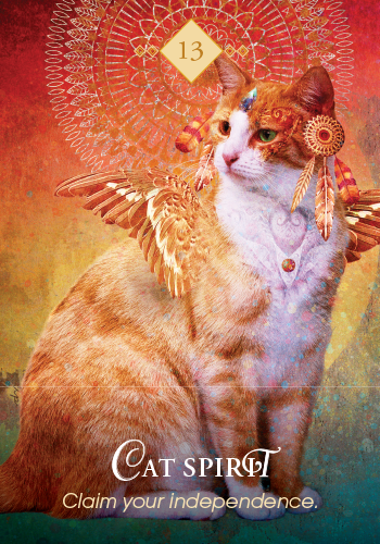 The Spirit Animal Oracle