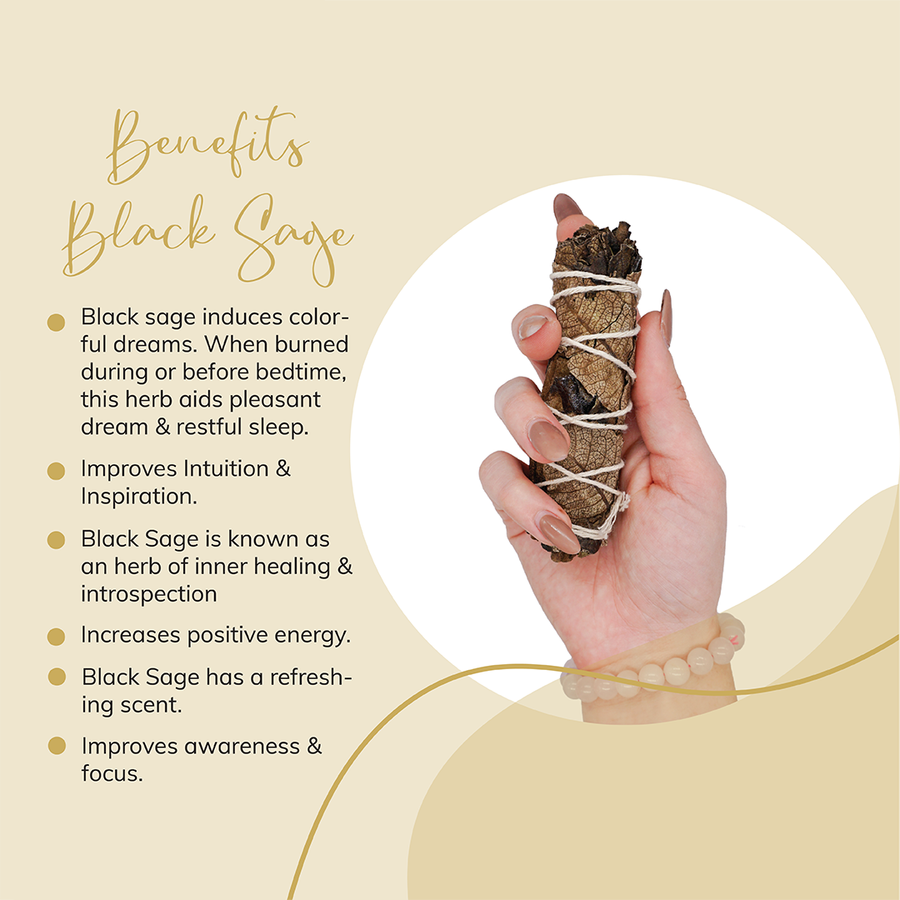 Black Sage smudge stick Salvia mellifera Herbal cleansing Aromatic herb benefits Spiritual cleansing sage Anti-inflammatory herb