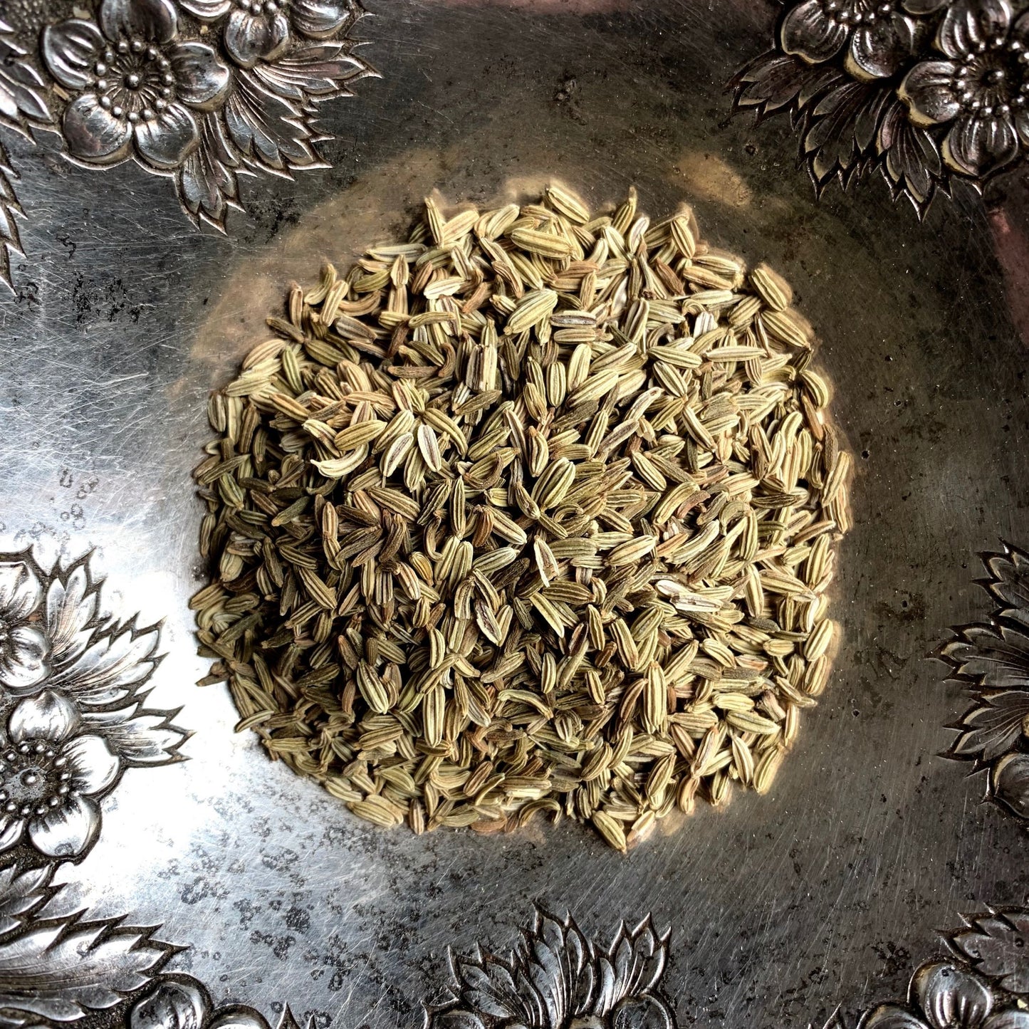 Fennel seed whole