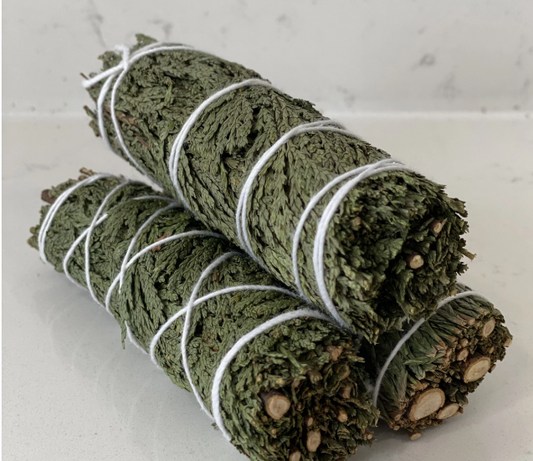 Cedar Sage