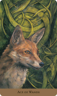 Tarot Of The Hidden Realm