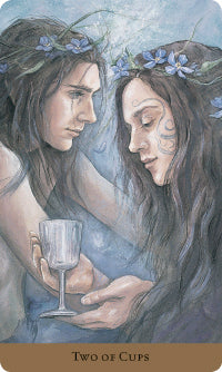 Tarot Of The Hidden Realm