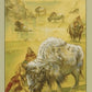 Native American Tarot