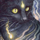 Soul Cats Tarot