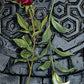 Tarot Of The Vampires