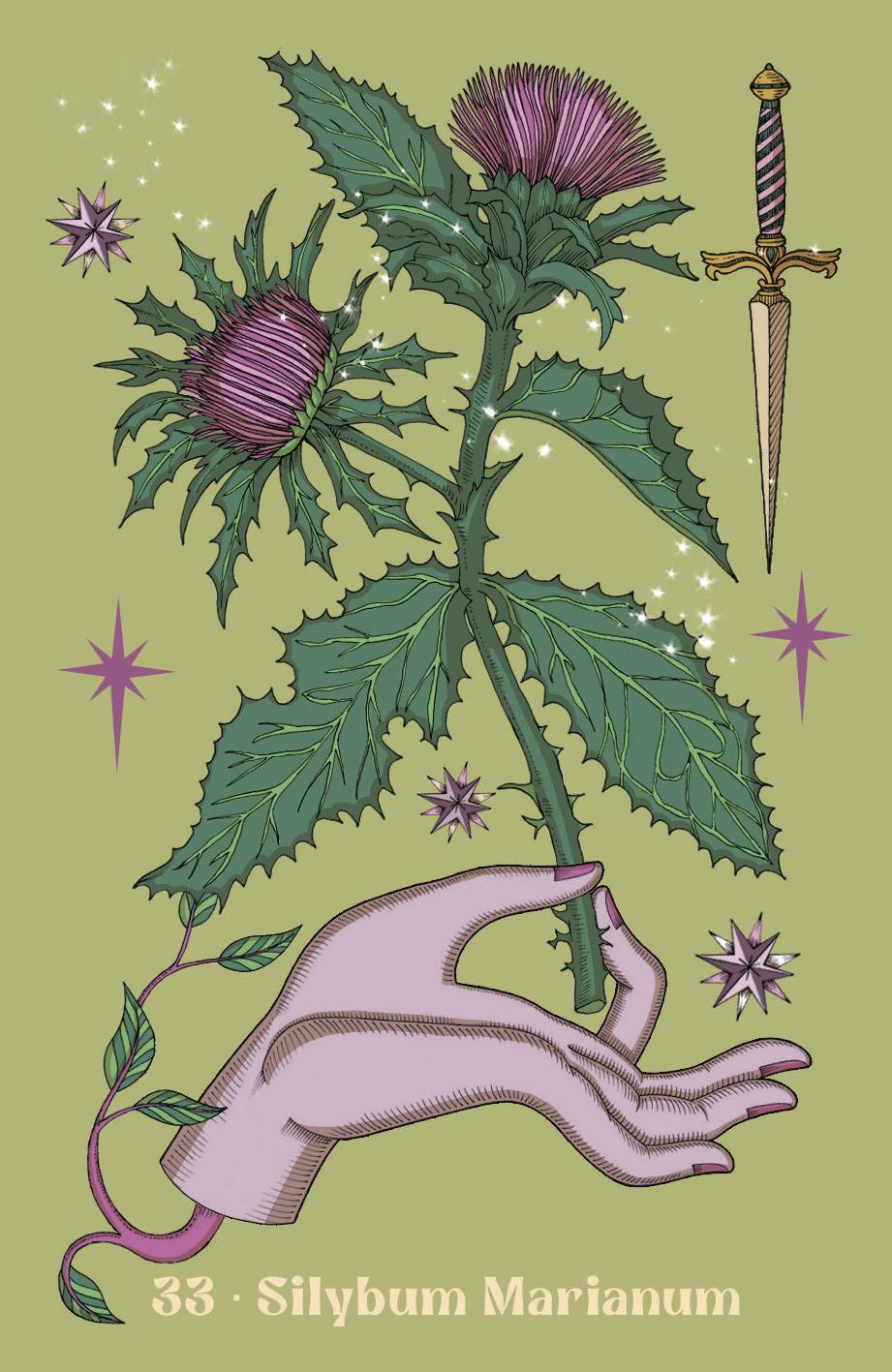 Herbarium Oracle