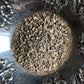 Devil's Claw Root