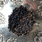 Elder Berries