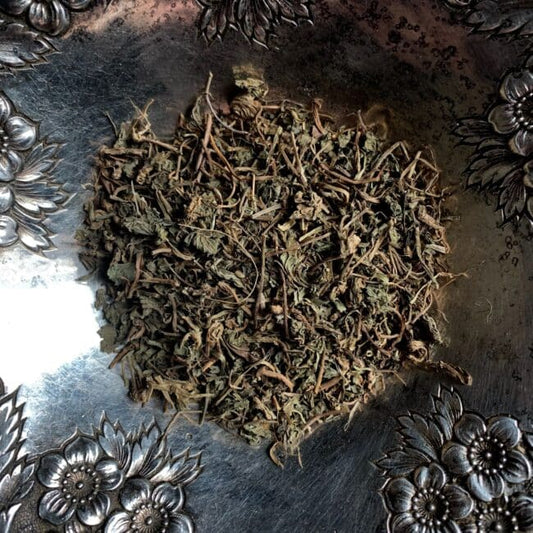 Gotu Kola