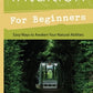 Intuition For Beginners - Dear Universe