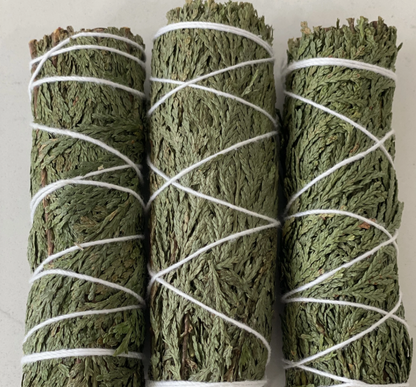 Cedar Sage