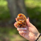 Golden honey-toned cut base citrine crystal cluster shown in hand, polished with raw top formation
