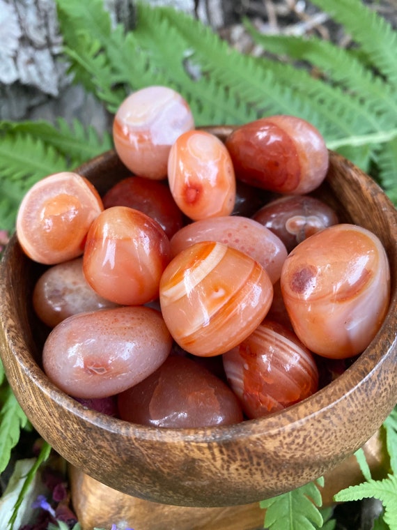 Vibrant Carnelian Tumbles Tumbled Carnelian Stones Carnelian Gemstones for Creativity Polished Carnelian Crystals Carnelian Tumbled Stones from Brazil