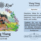 Sun's Eye Ylang Ylang