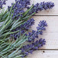 Sun's Eye Lavender Oil