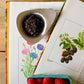 Pomegranate Wildberry
