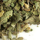 Oregano (Mexican) C/S