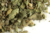 Oregano (Mexican) C/S