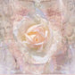 The Rose Oracle