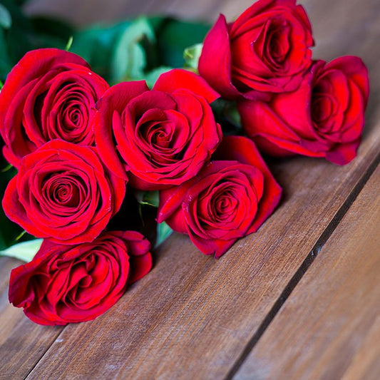 Sun's Eye Rose