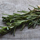 Sun's Eye Rosemary